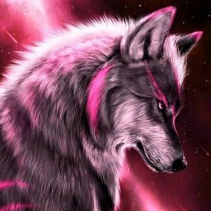 Meet your Posher, Armond